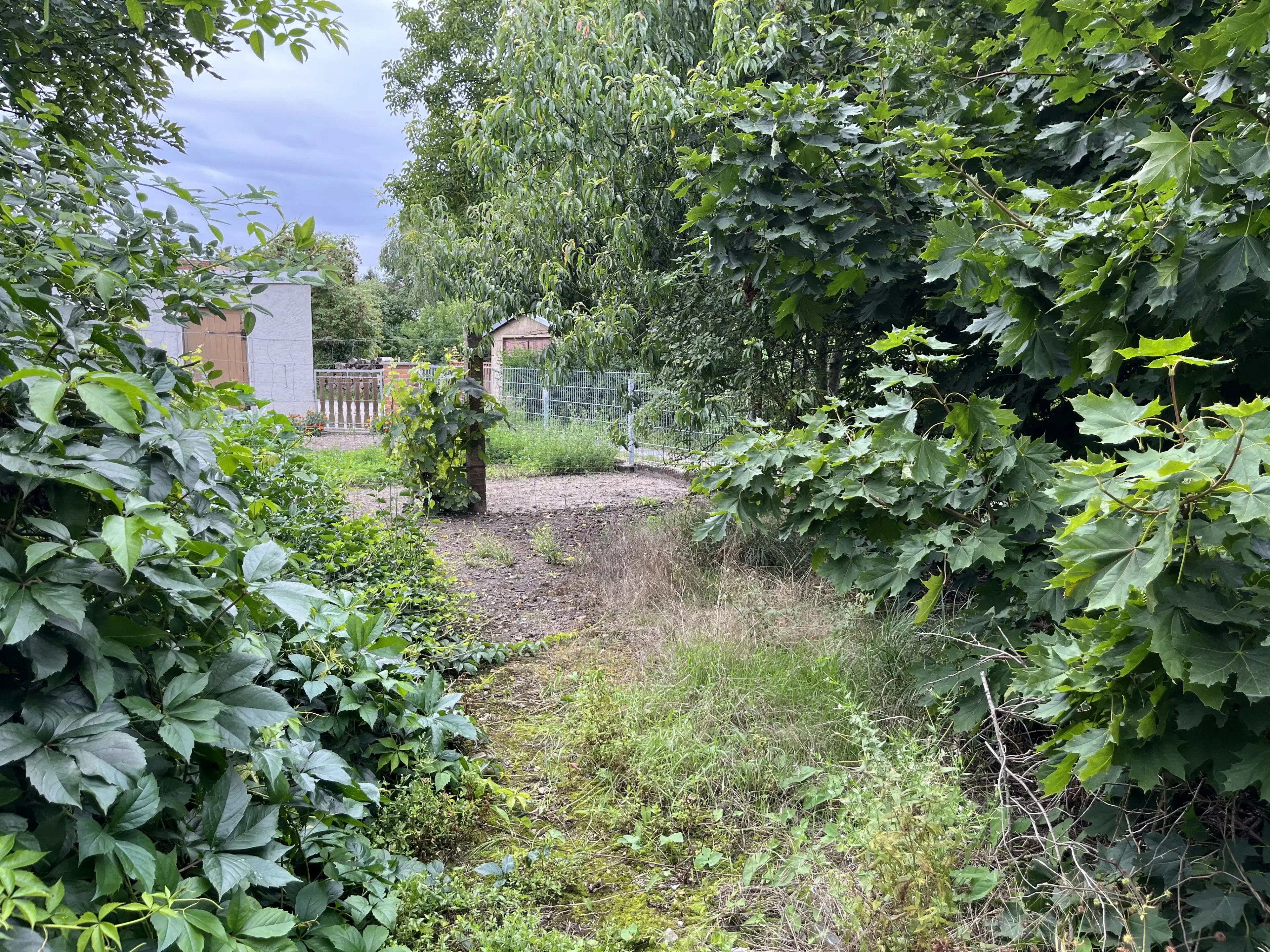 Meergezinswoning in Bad Schmiedeberg - Duitsland