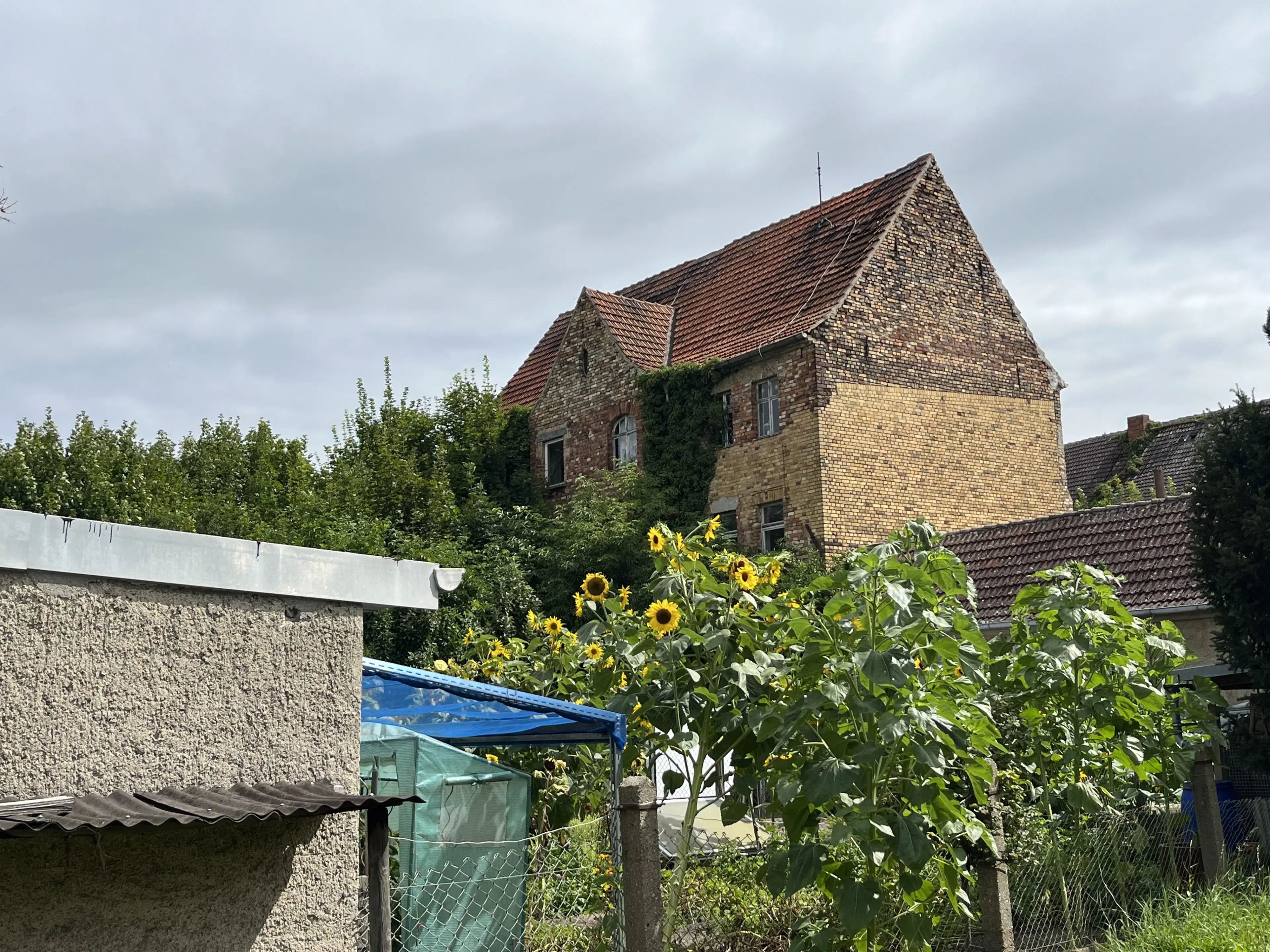 Meergezinswoning in Bad Schmiedeberg - Duitsland