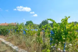 Huis op 2.040 m2 grond in Razdel - Bulgarije