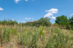 Huis op 2.040 m2 grond in Razdel - Bulgarije