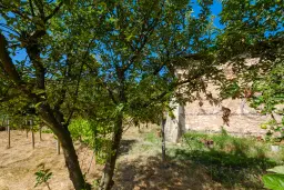 Huis op 2.564 m2 grond in Cherna Mogila - Bulgarije