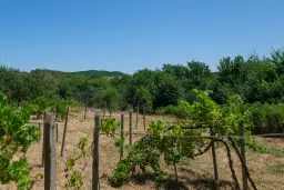 Huis op 2.564 m2 grond in Cherna Mogila - Bulgarije