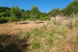 Huis op 2.564 m2 grond in Cherna Mogila - Bulgarije