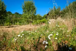 Huis op 2.564 m2 grond in Cherna Mogila - Bulgarije