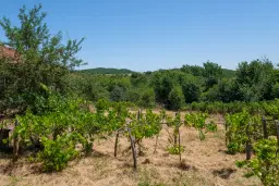 Huis op 2.564 m2 grond in Cherna Mogila - Bulgarije