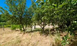 Huis op 2.564 m2 grond in Cherna Mogila - Bulgarije