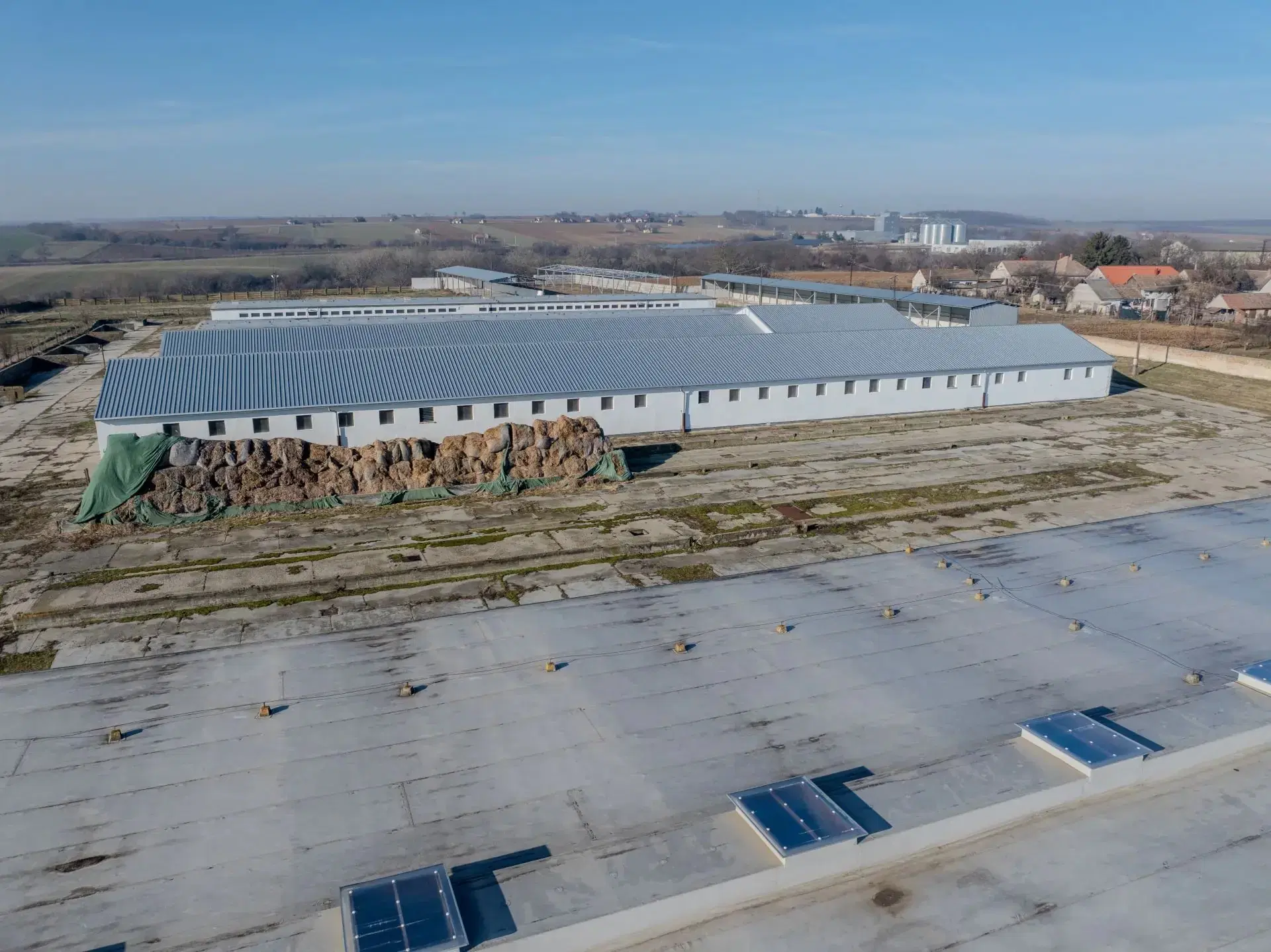 103.000m2, omheind, gedeeltelijk gerenoveerd, volledig functioneel terrein voor veehouderij op industriële schaal