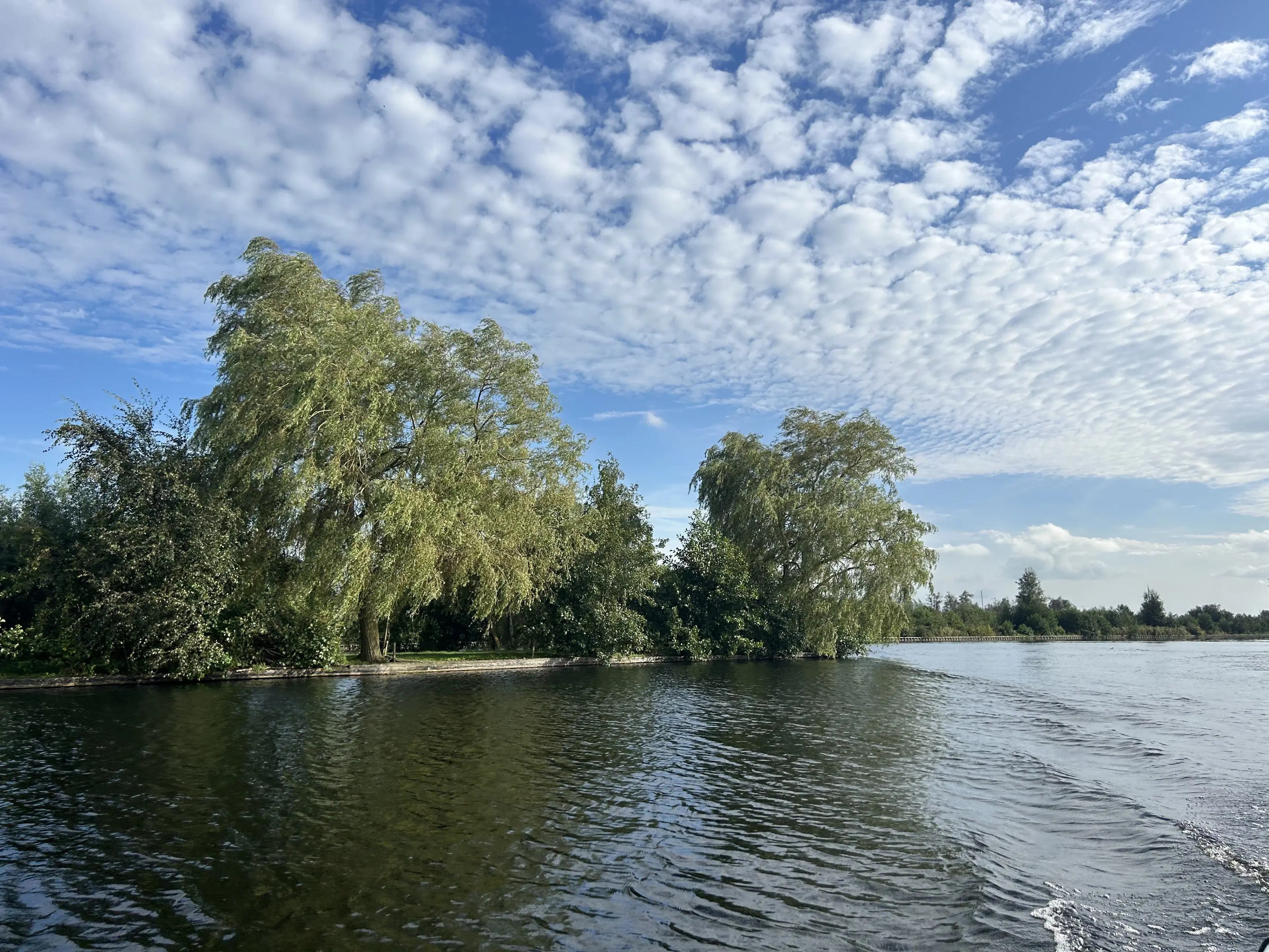 Legakkers gelegen in de Vinkeveense Plassen - perceel 1959