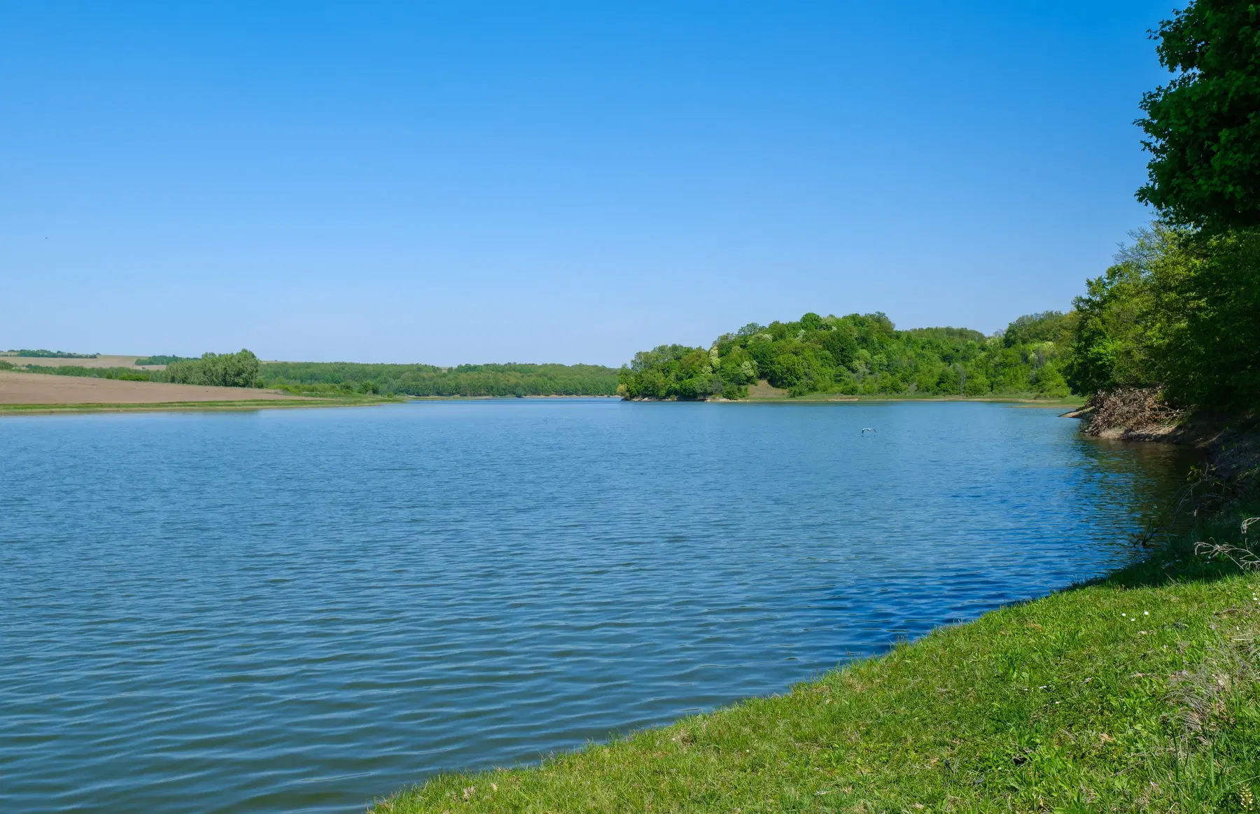 2.726 m² grond, vrijstaand huis & bijgebouwen - Staropatitsa, Vidin - Bulgarije