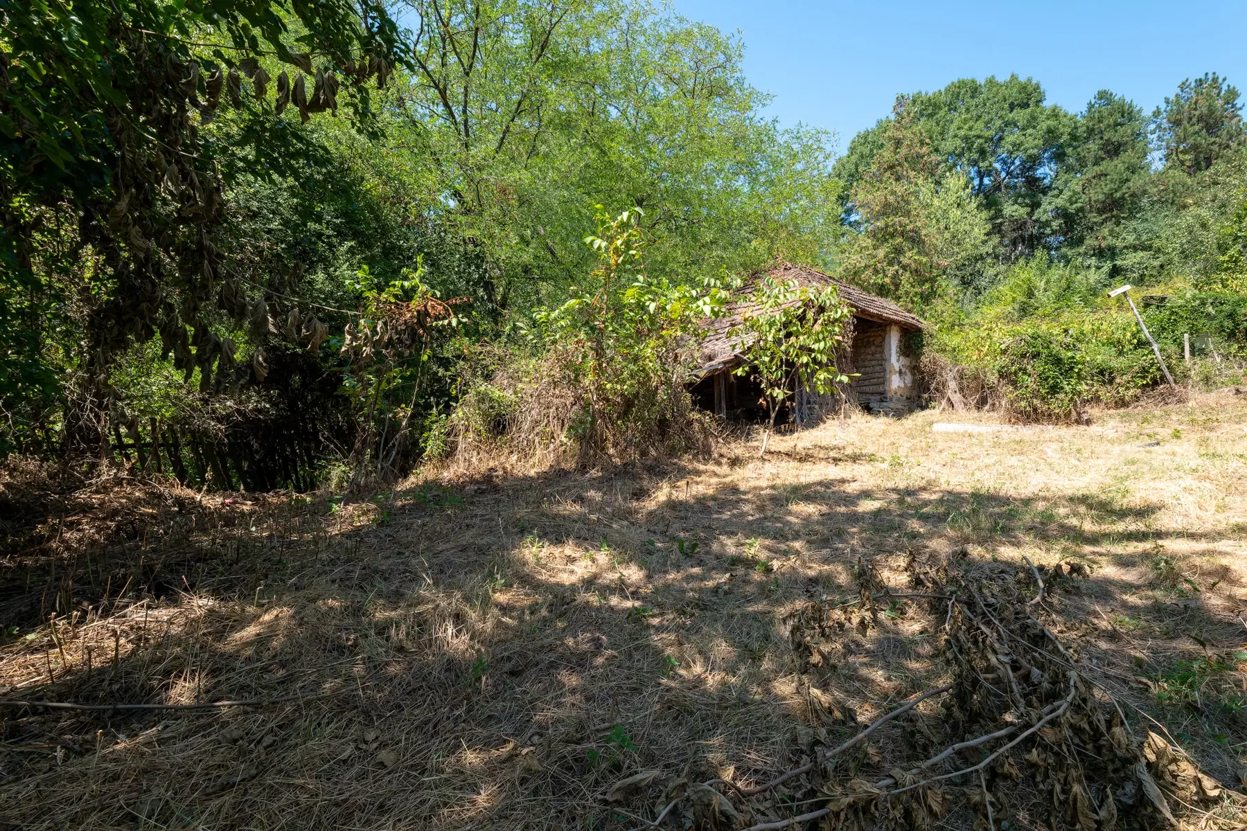 2.726 m² grond, vrijstaand huis & bijgebouwen - Staropatitsa, Vidin - Bulgarije