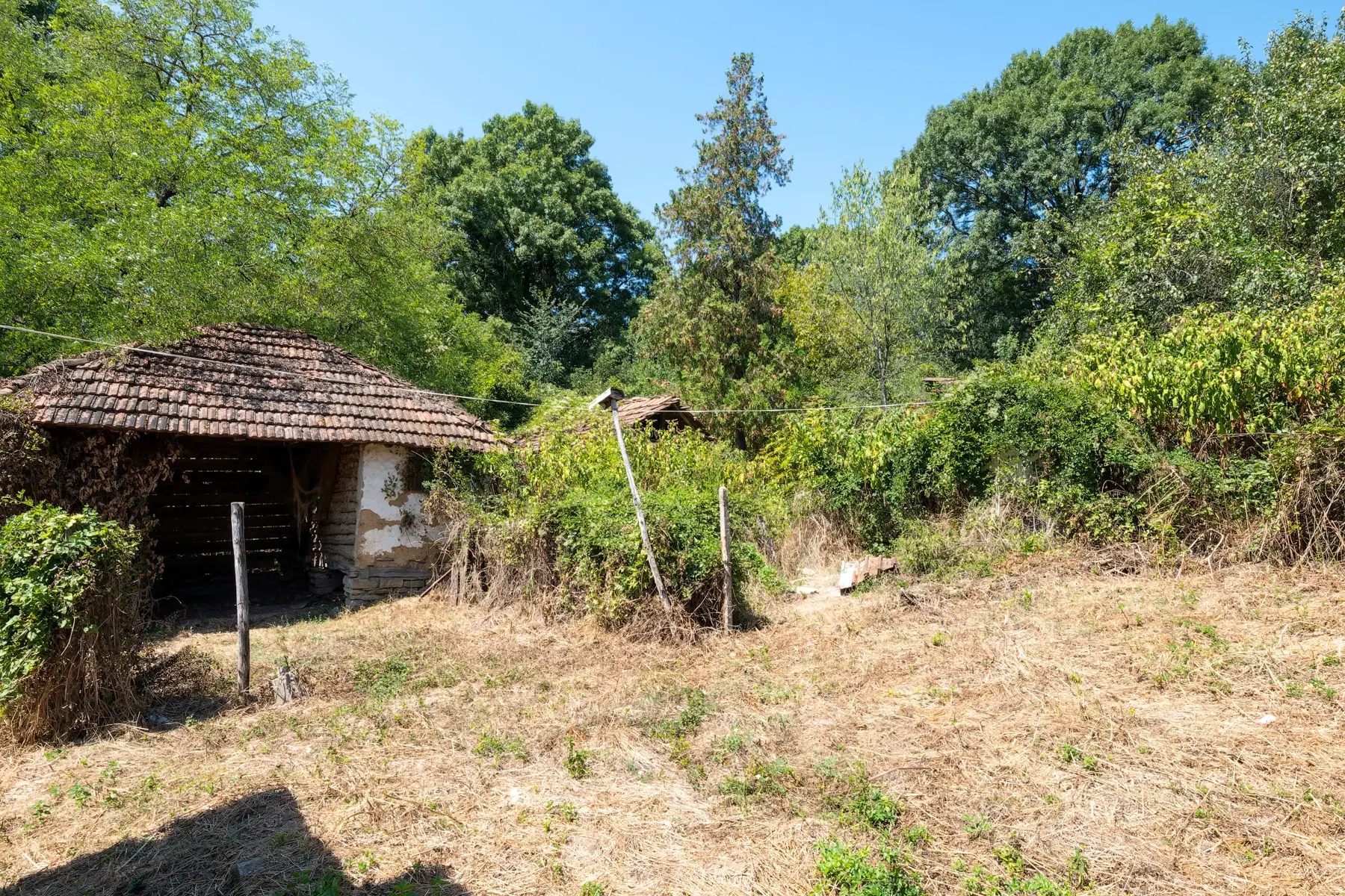 2.726 m² grond, vrijstaand huis & bijgebouwen - Staropatitsa, Vidin - Bulgarije