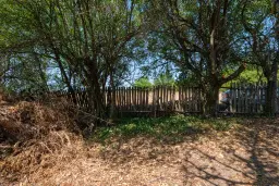 1.467 m2 grond met 2 huizen - Staropatitsa, Vidin - Bulgarije