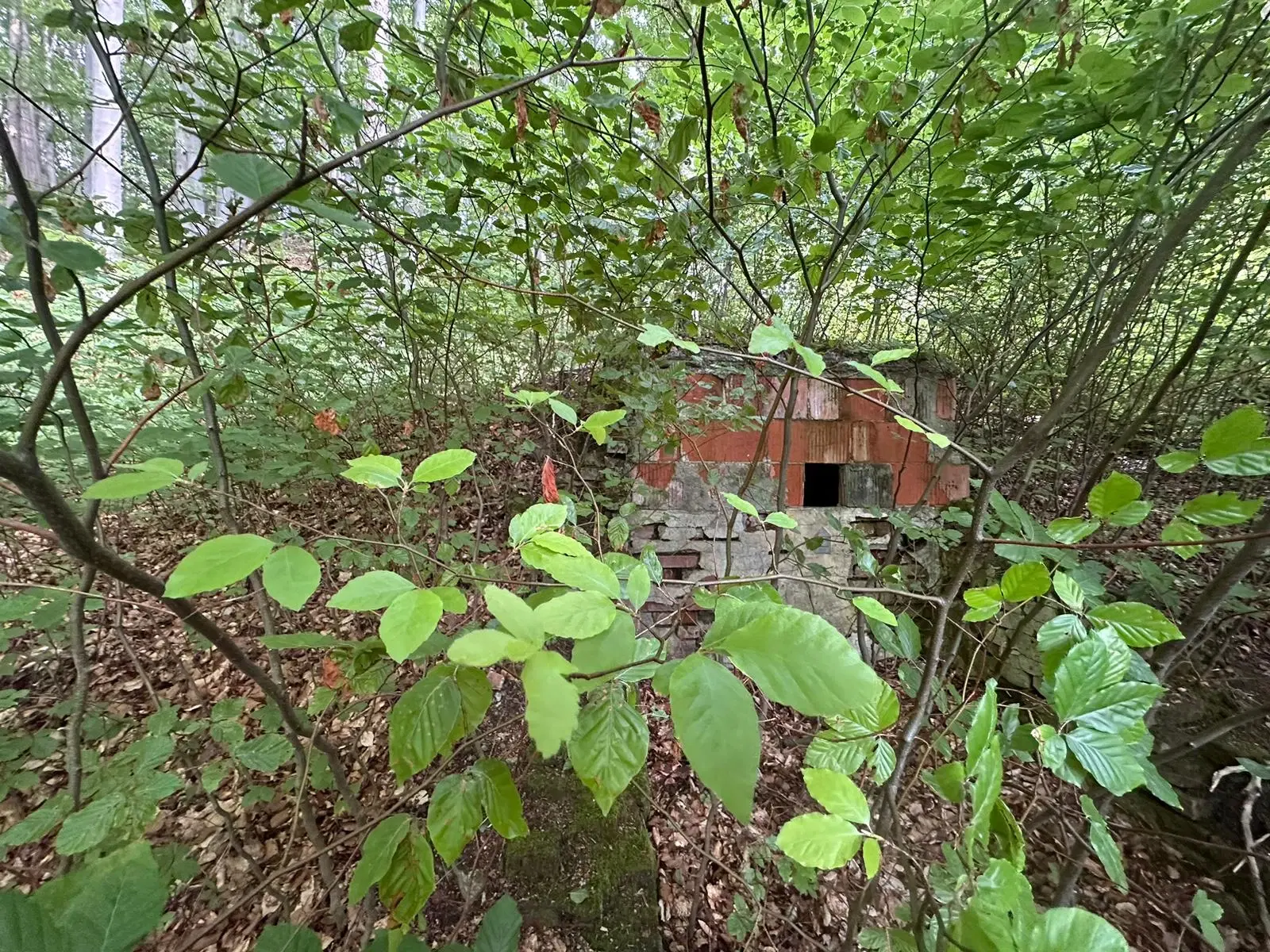 Vooroorlogse bunker met gezamenlijke 6.198 m² percelen - Kittelsthal - Duitsland 