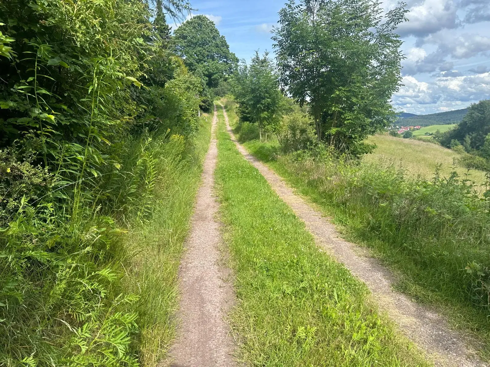 Vooroorlogse bunker met gezamenlijke 6.198 m² percelen - Kittelsthal - Duitsland 