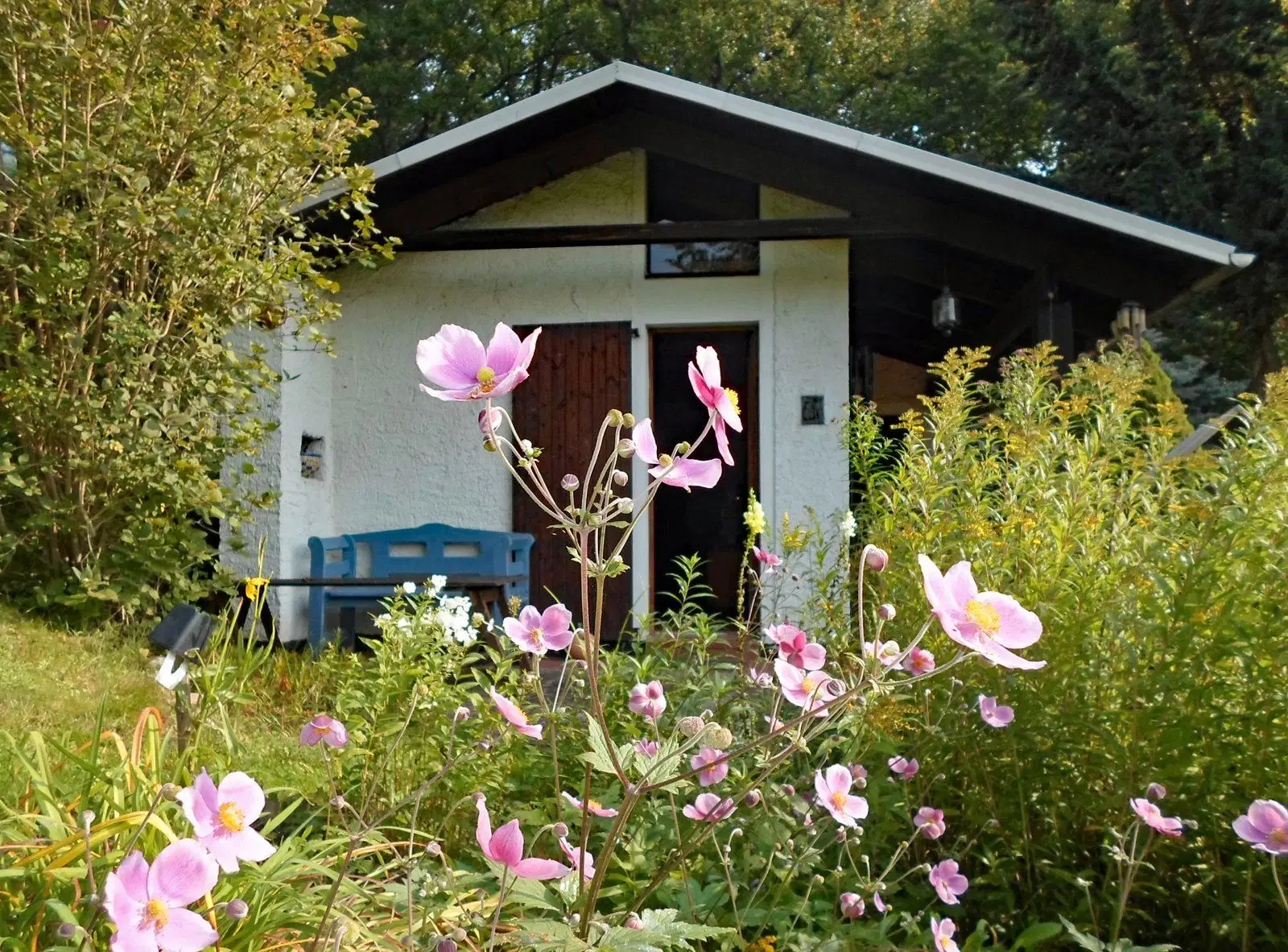 Uw Eigen Vakantiehuis in Hartmannsdorf: Geniet van Rust, Natuur en Avontuur! - Hartmannsdorf - Duitsland