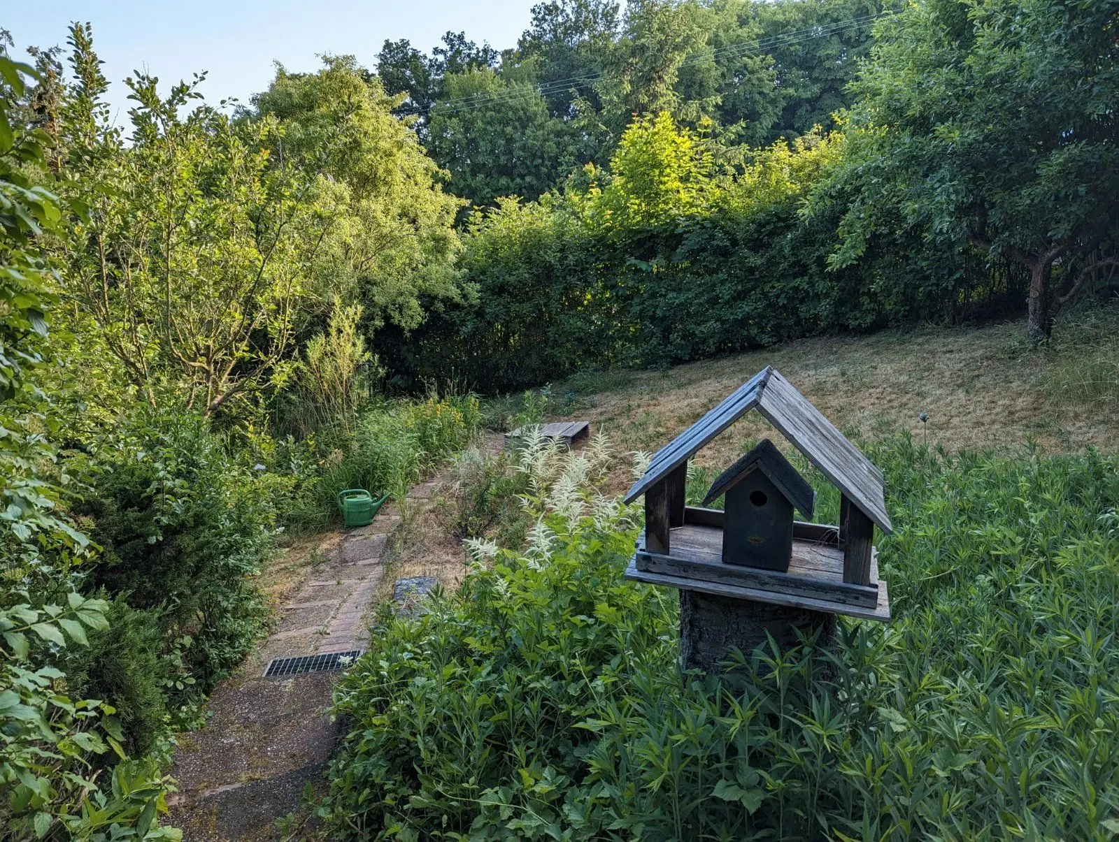 Uw Eigen Vakantiehuis in Hartmannsdorf: Geniet van Rust, Natuur en Avontuur! - Hartmannsdorf - Duitsland