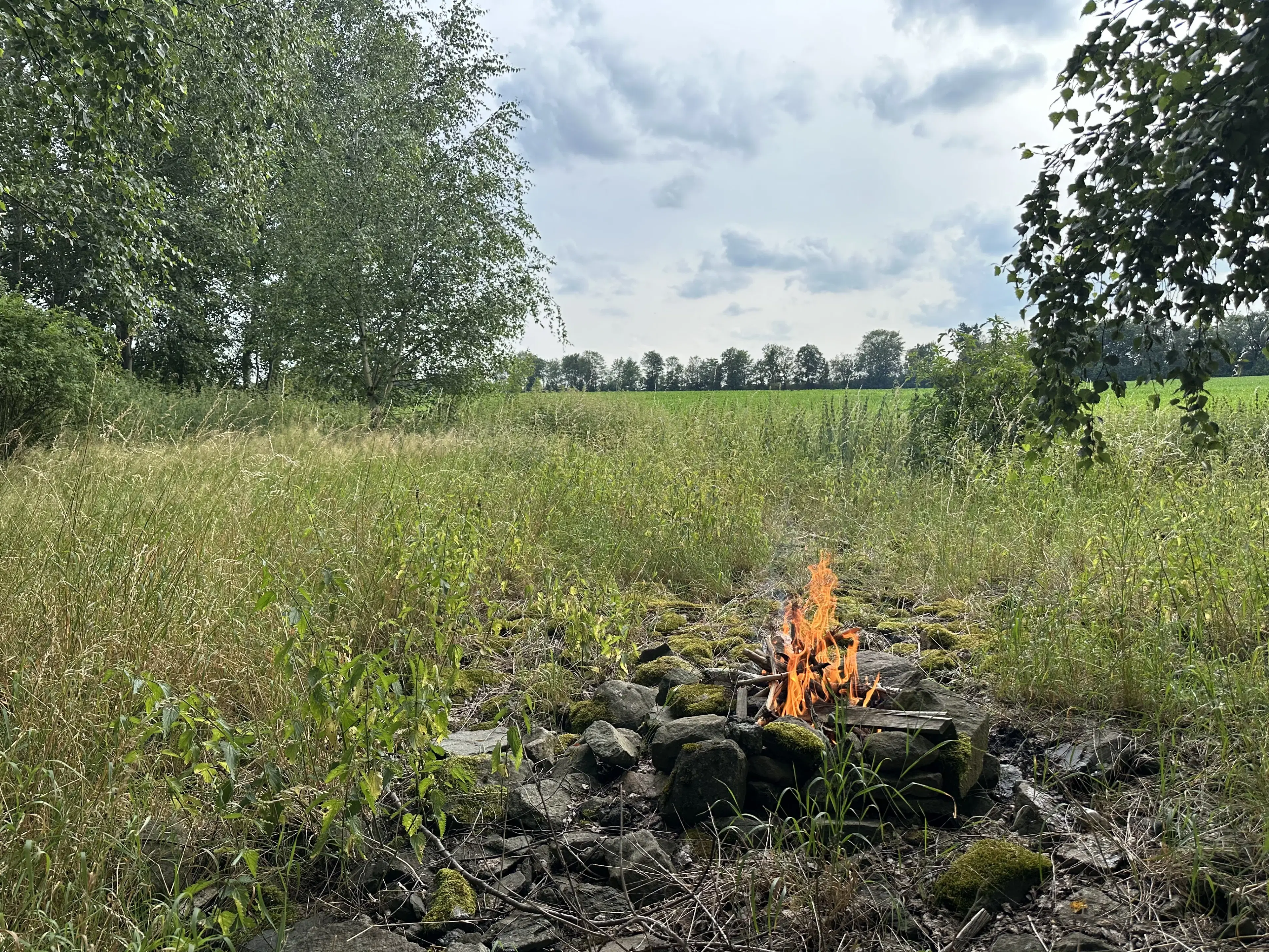 3 percelen gelegen in Treuen - Duitsland