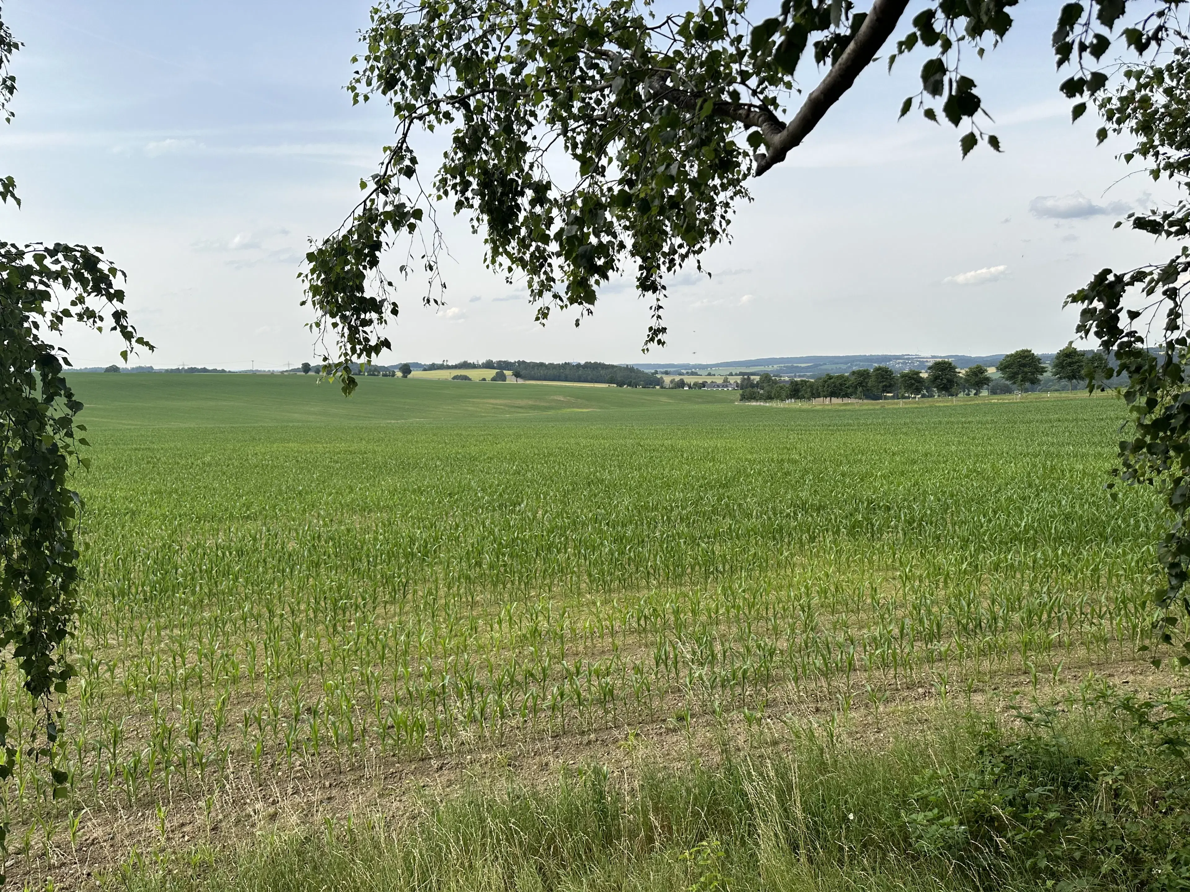 3 percelen gelegen in Treuen - Duitsland