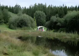 3 percelen gelegen in Treuen - Duitsland