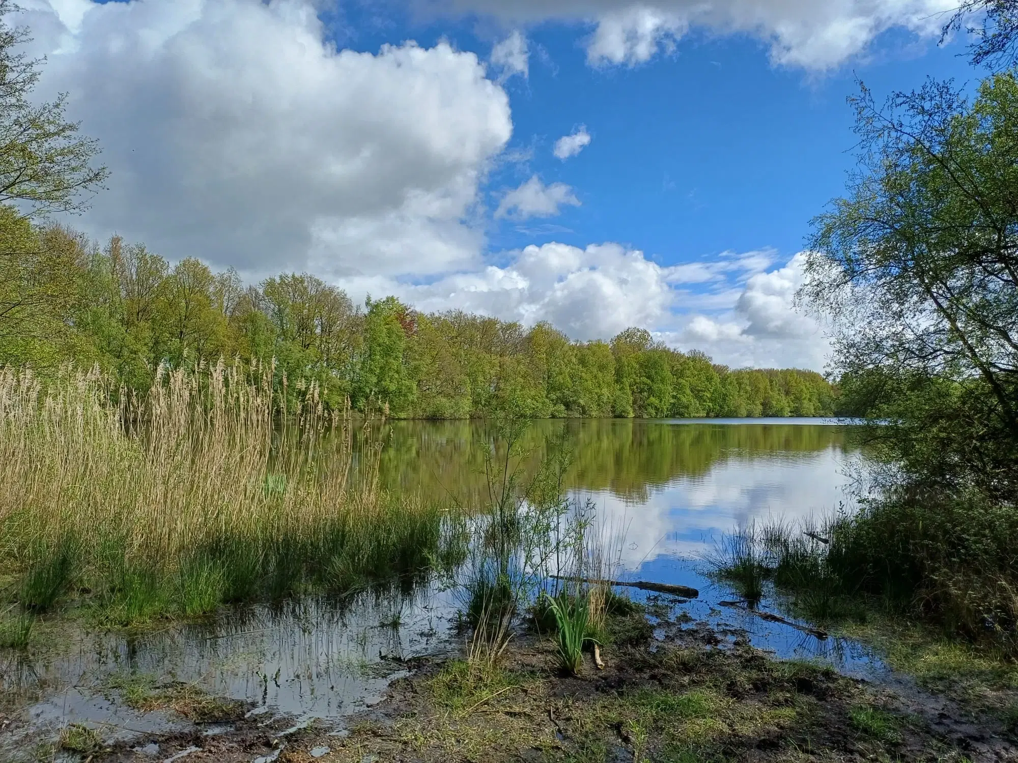 3 percelen gelegen in Treuen - Duitsland