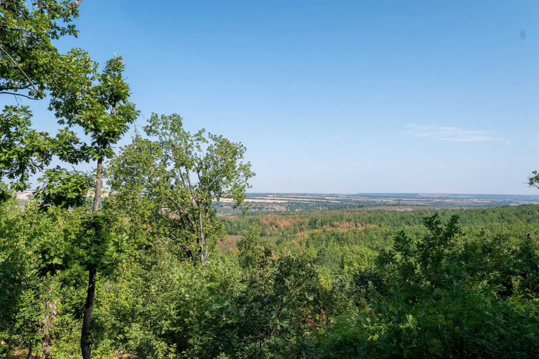 57.844 m² Bosgrond te Vidin region - Bulgarije