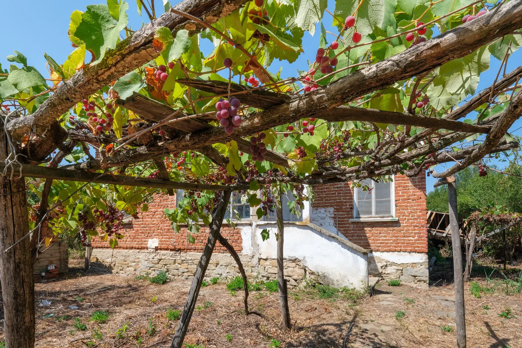 1.244 m2 grond, huis & bijgebouw te Vidin - Bulgarije