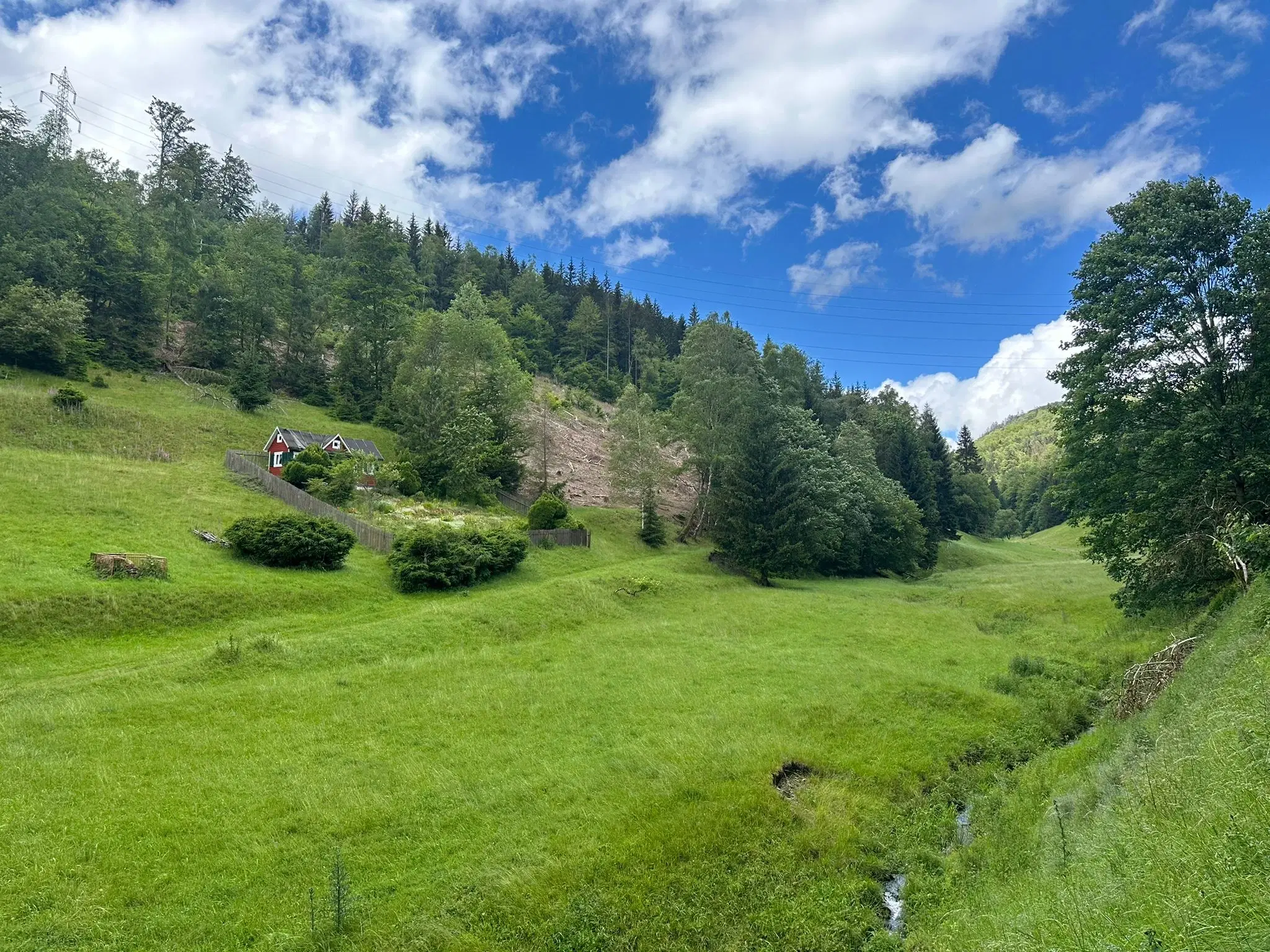 1,5 hectare landbouwgrond en boomsingels Thüringerwald - Schönbrunn - Duitsland