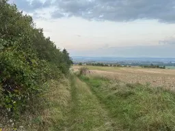 Perceel van 8.548 m² Akkerbouwgrond met Struiksingel in Uthleben (99765) - Duitsland