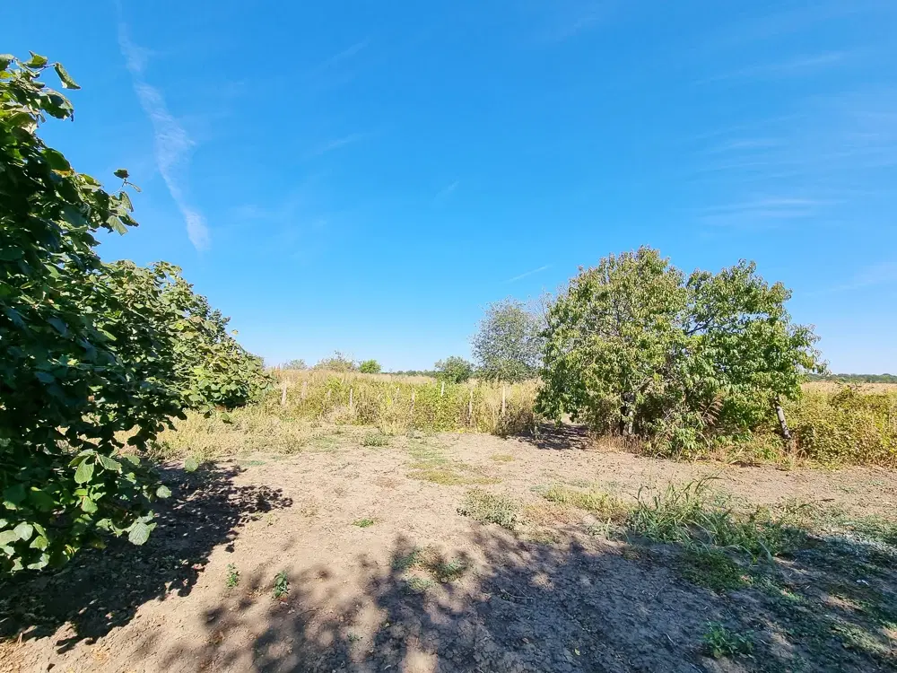 Boerderij, 3 huizen, bijgebouwen en 3.320 m2 met wijngaarden in Kladensti, Dobrich - Bulgarije