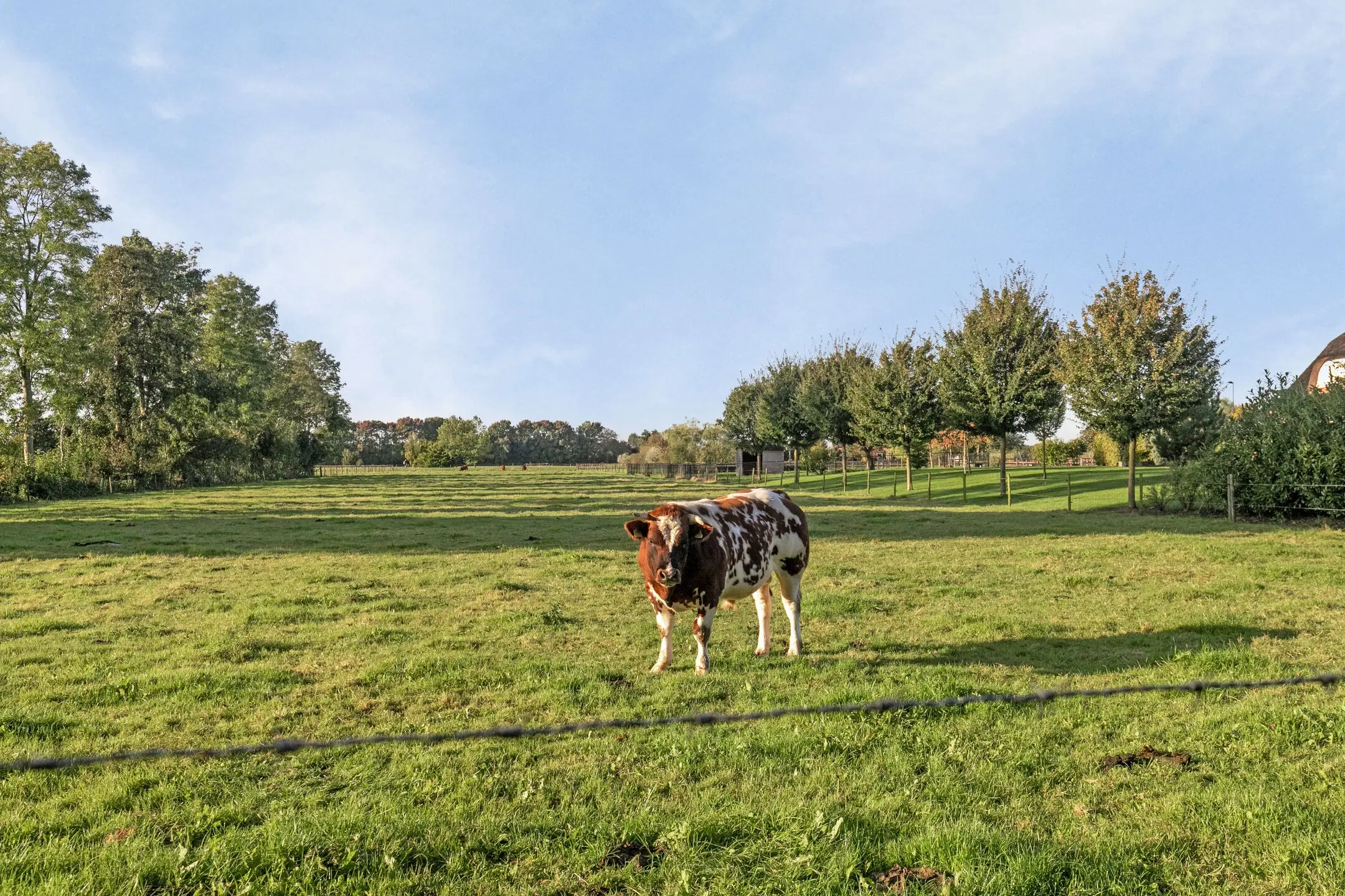 Randwijk, Bredeweg 63A