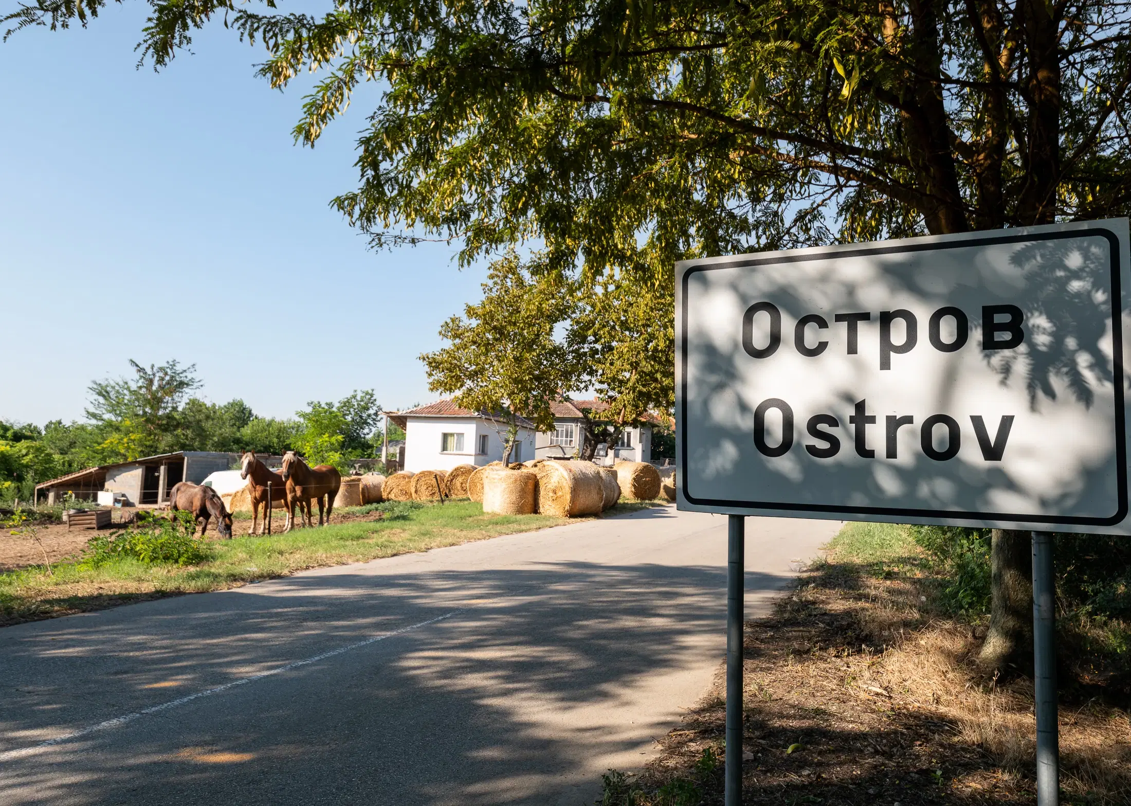 Hoofdhuis, bijgebouw & garage op een perceel van 1.552 m² - Ostrov - Bulgarije