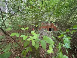 Vooroorlogse bunker met gezamenlijk 6.198 m2 percelen - Kittelstahl - Duitsland