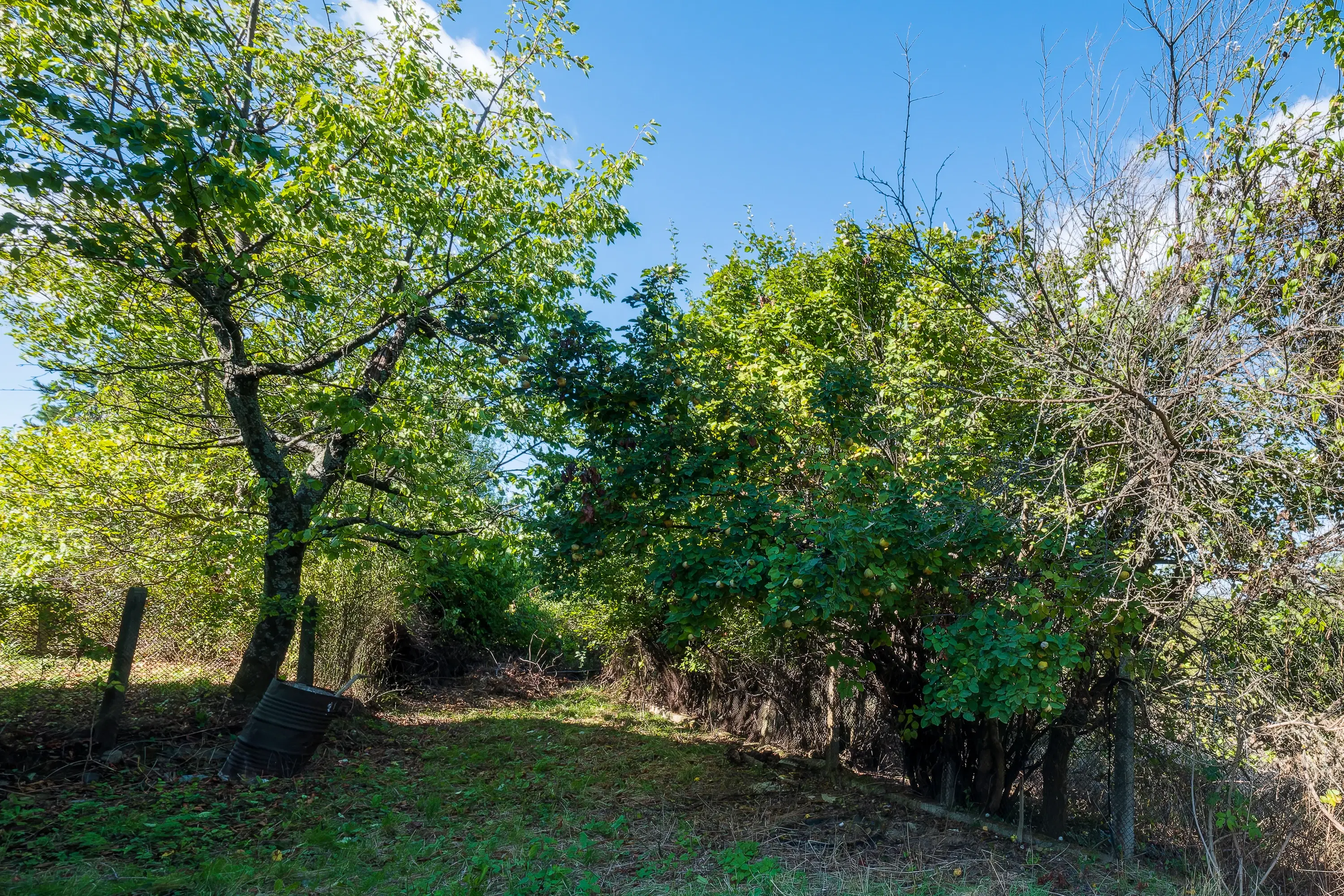 1.900 m² grond, 2 huizen en schuur - Kireevo, regio Vidin - Bulgarije