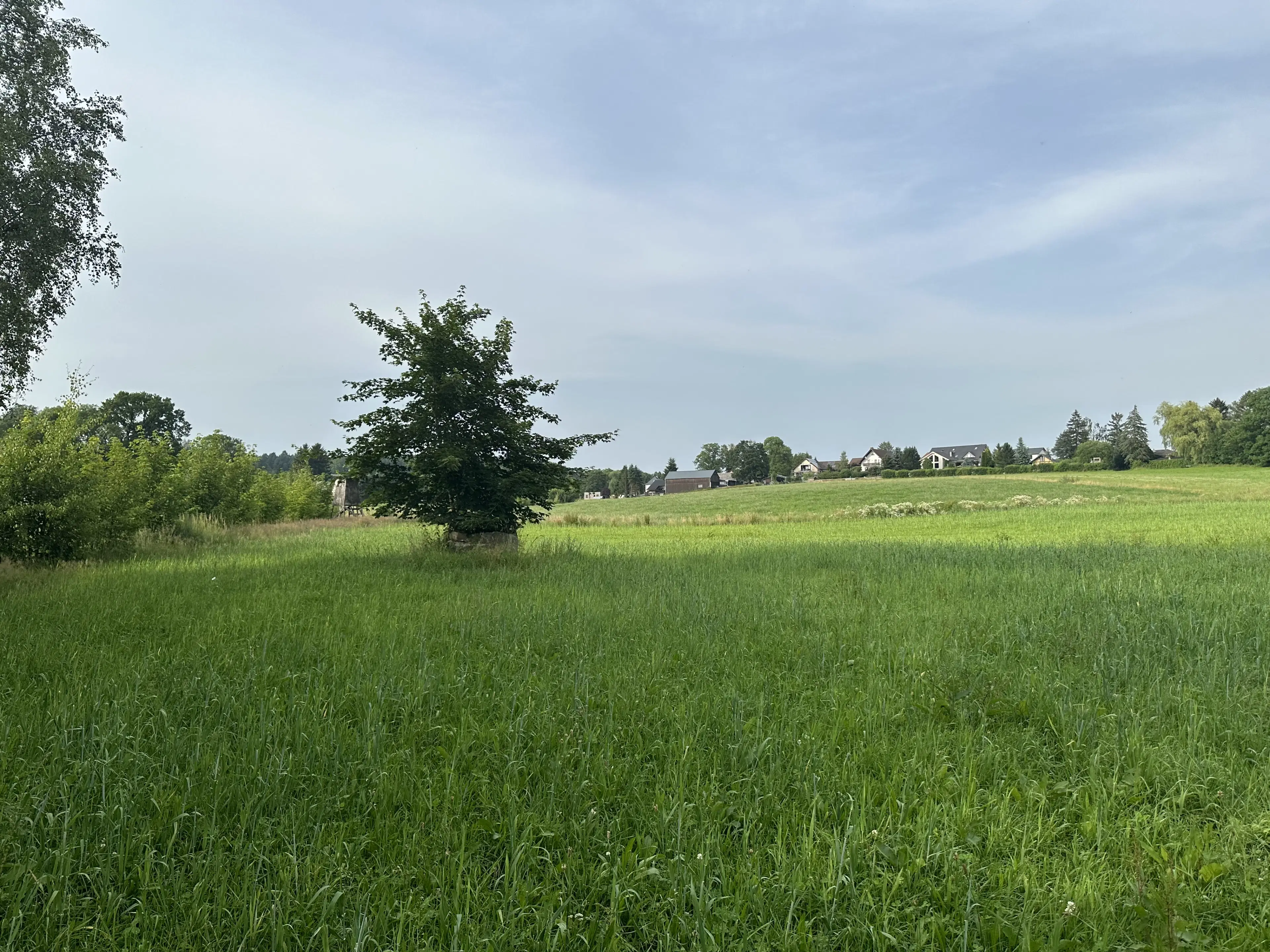 Vierkant perceel 100 m² Treuen - Duitsland