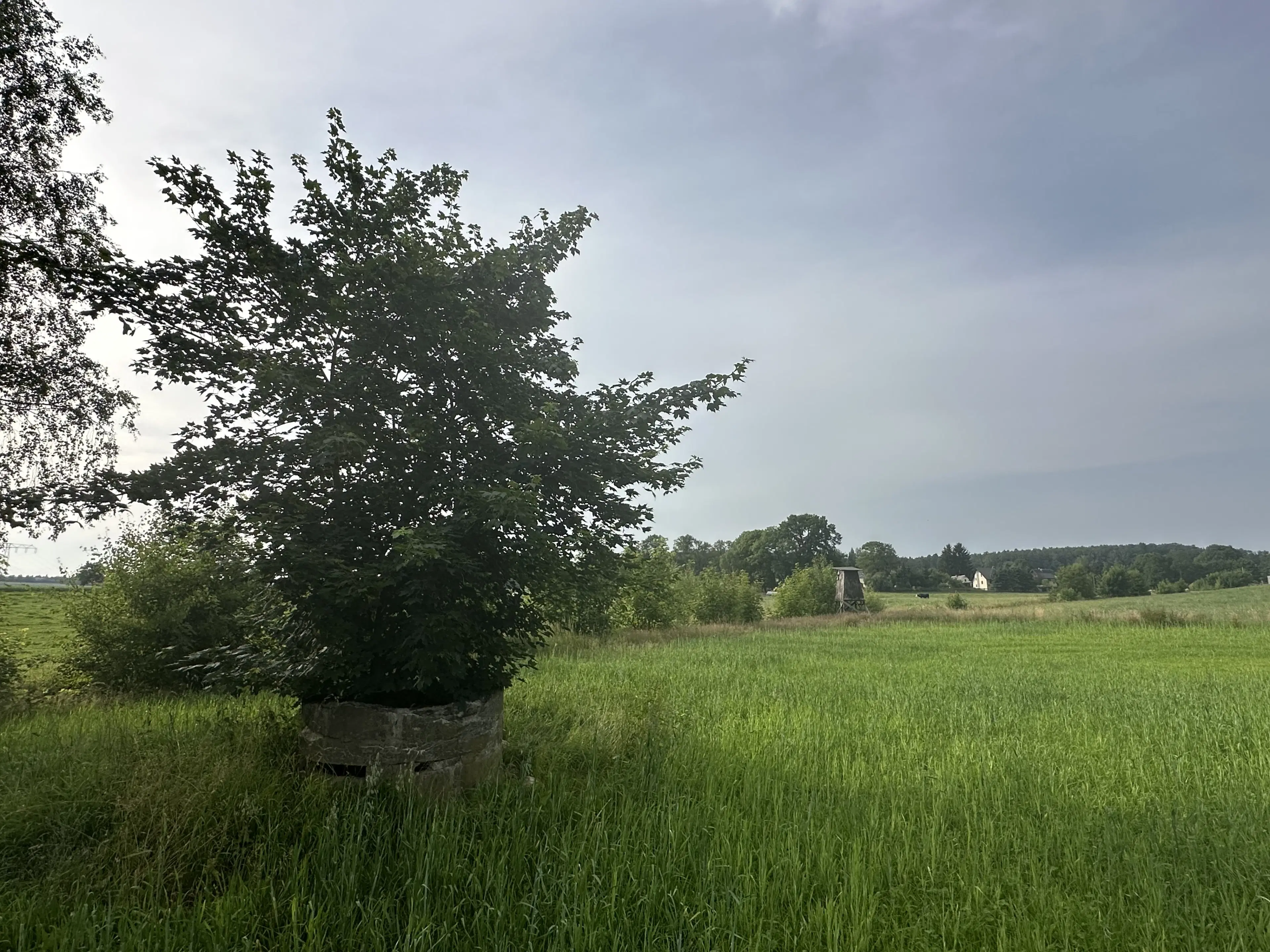 Vierkant perceel 100 m² Treuen - Duitsland