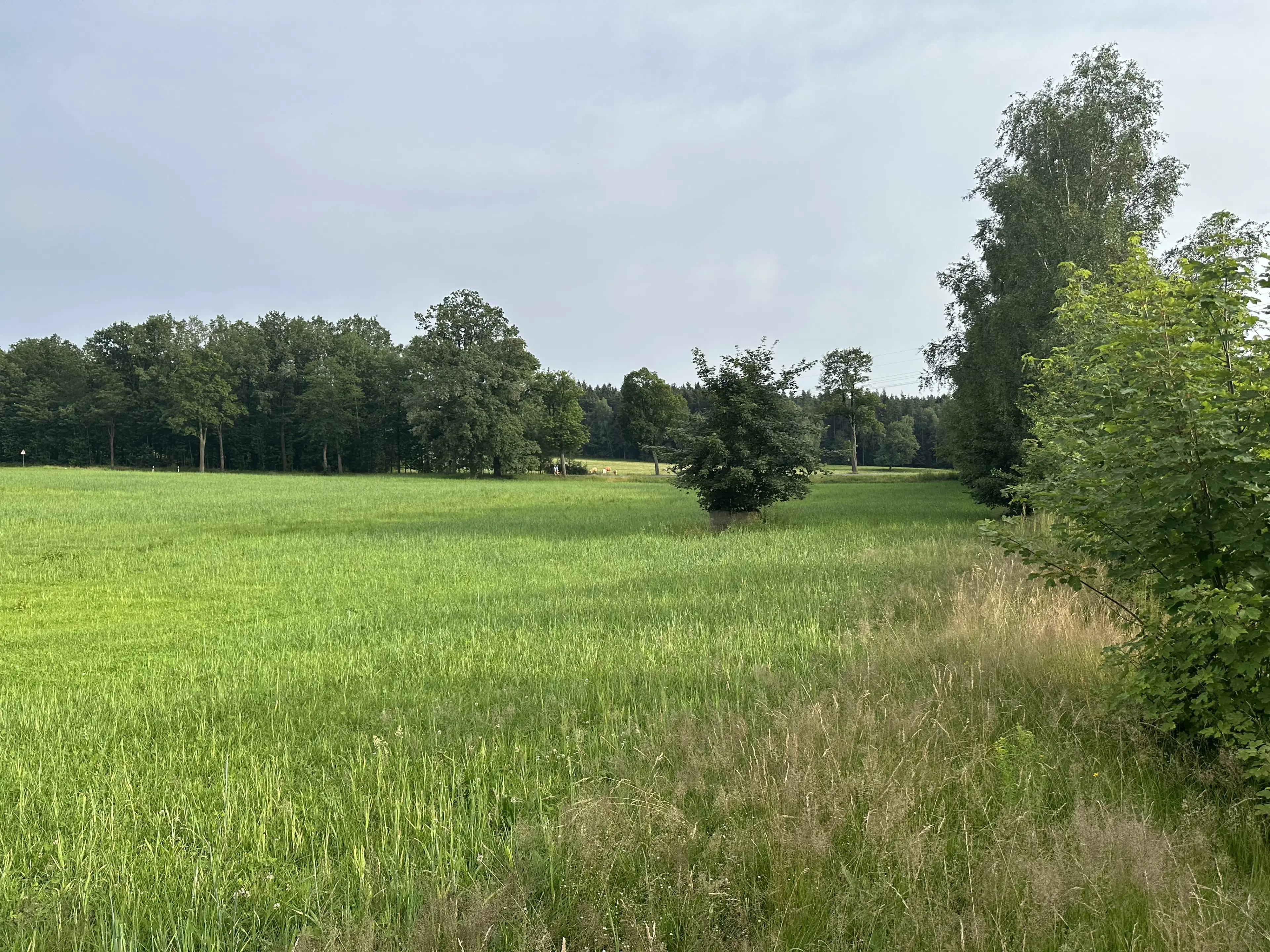 Vierkant perceel 100 m² Treuen - Duitsland