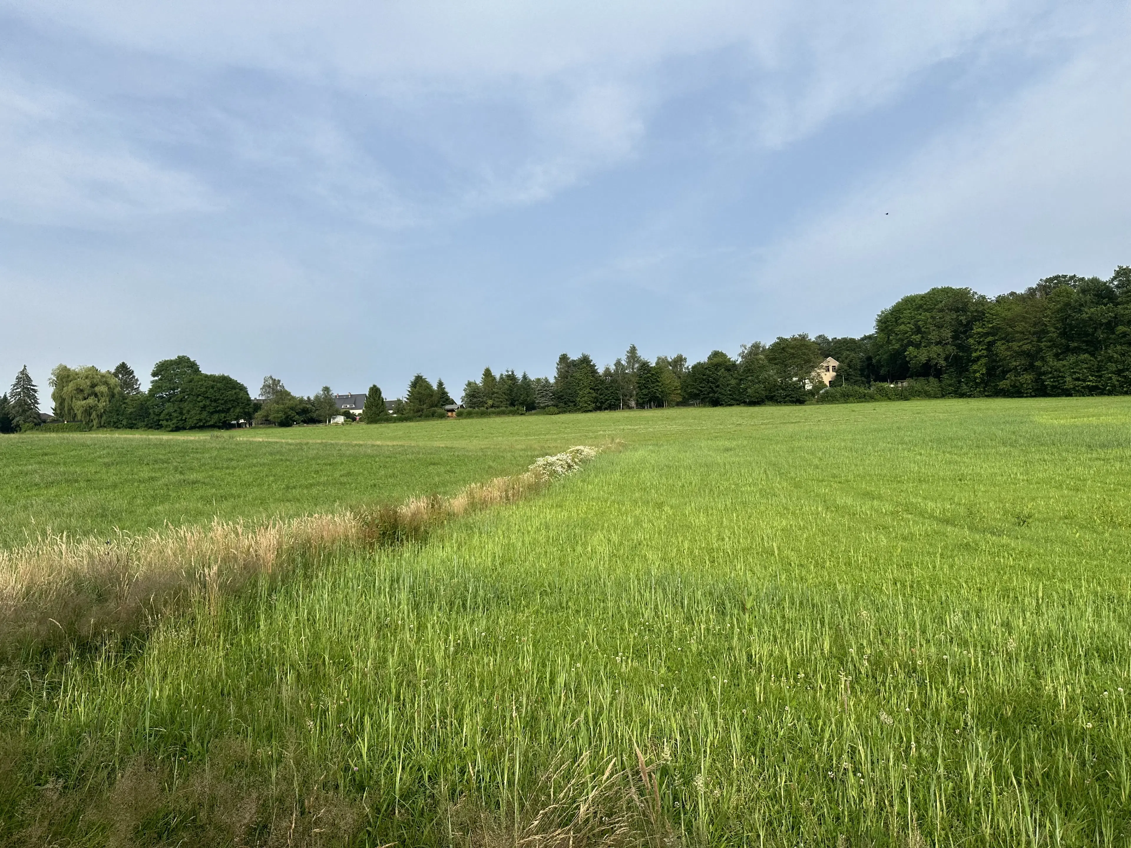 Vierkant perceel 100 m² Treuen - Duitsland