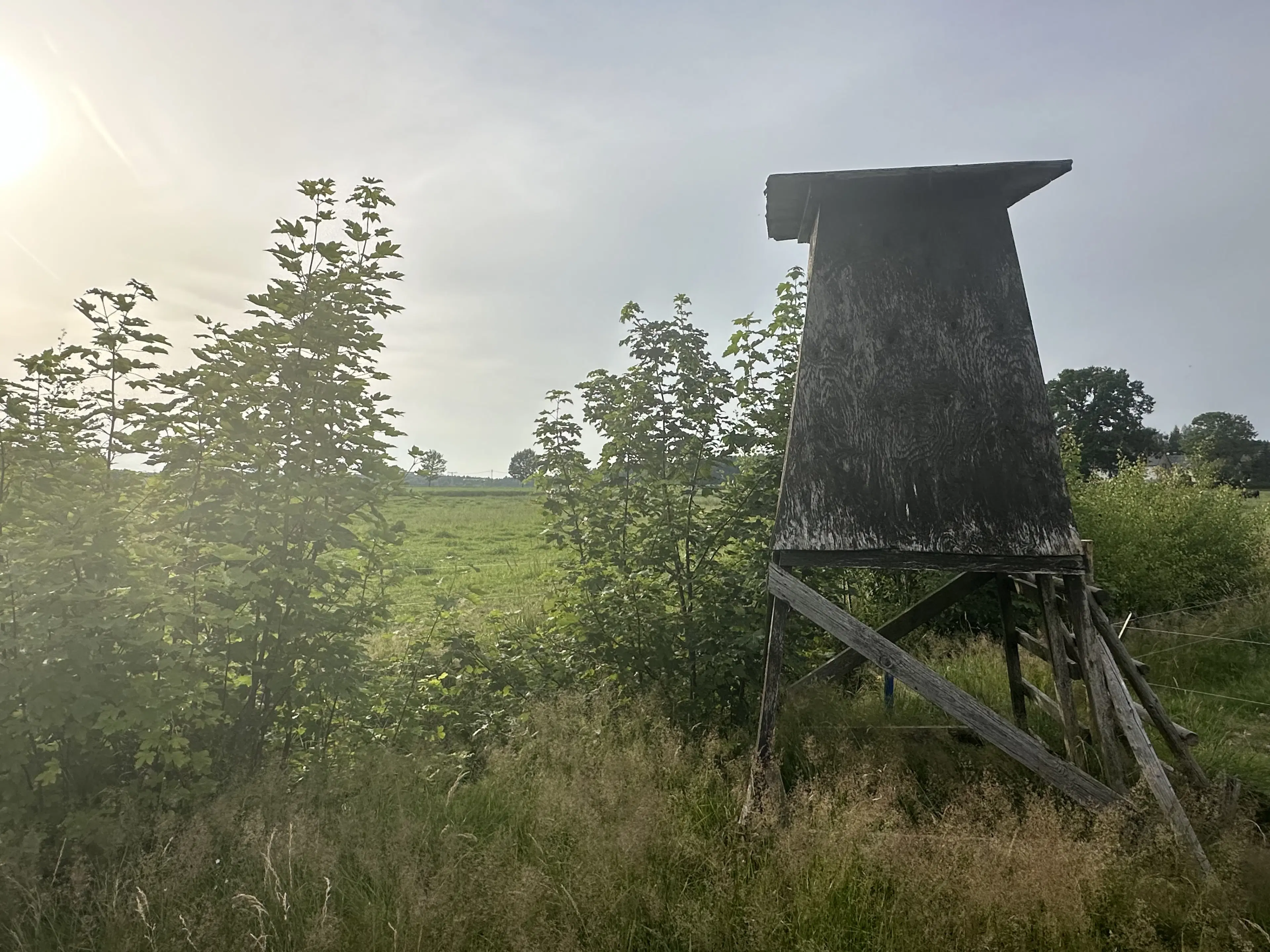 Vierkant perceel 100 m² Treuen - Duitsland