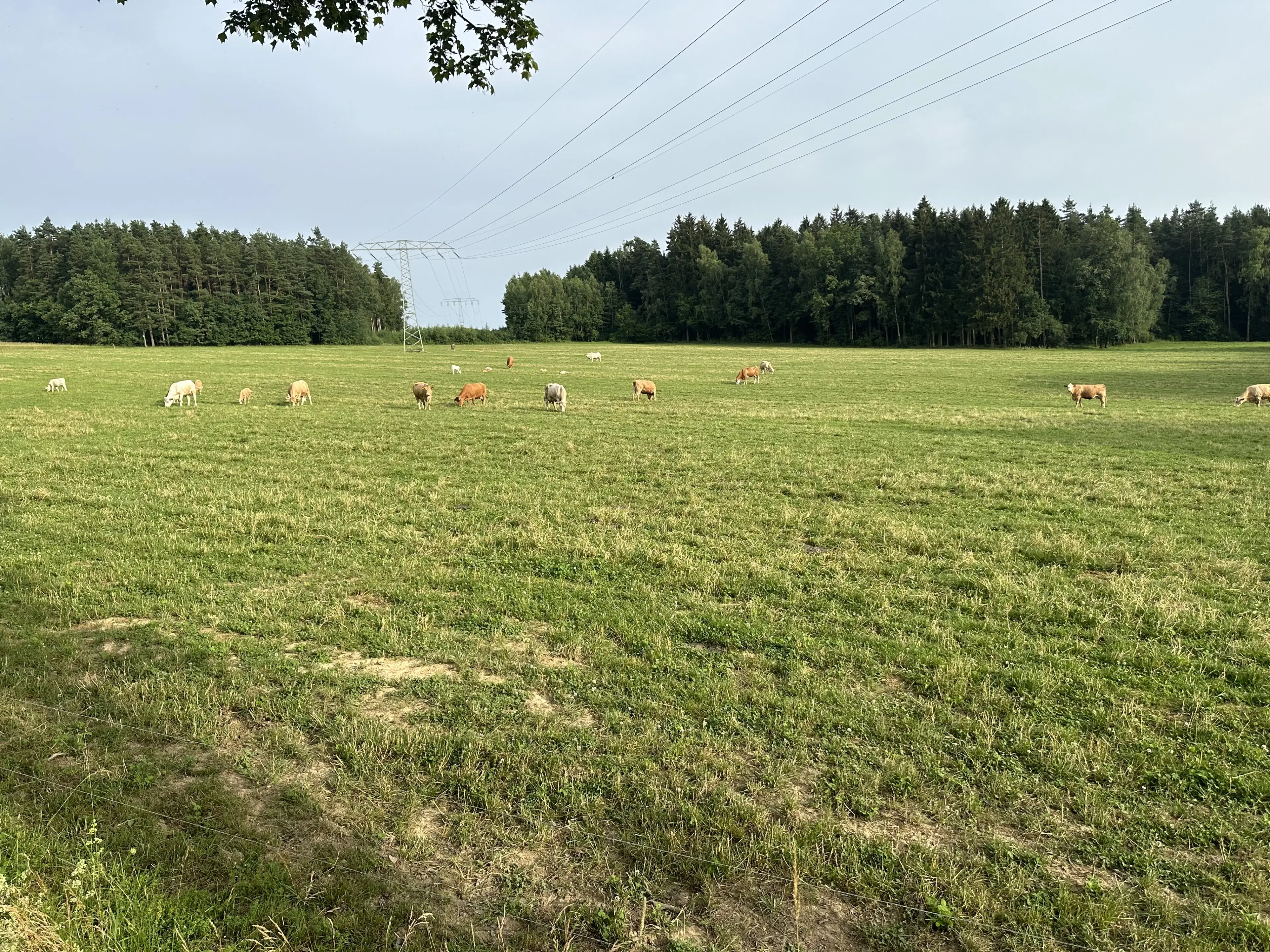 Vierkant perceel 100 m² Treuen - Duitsland