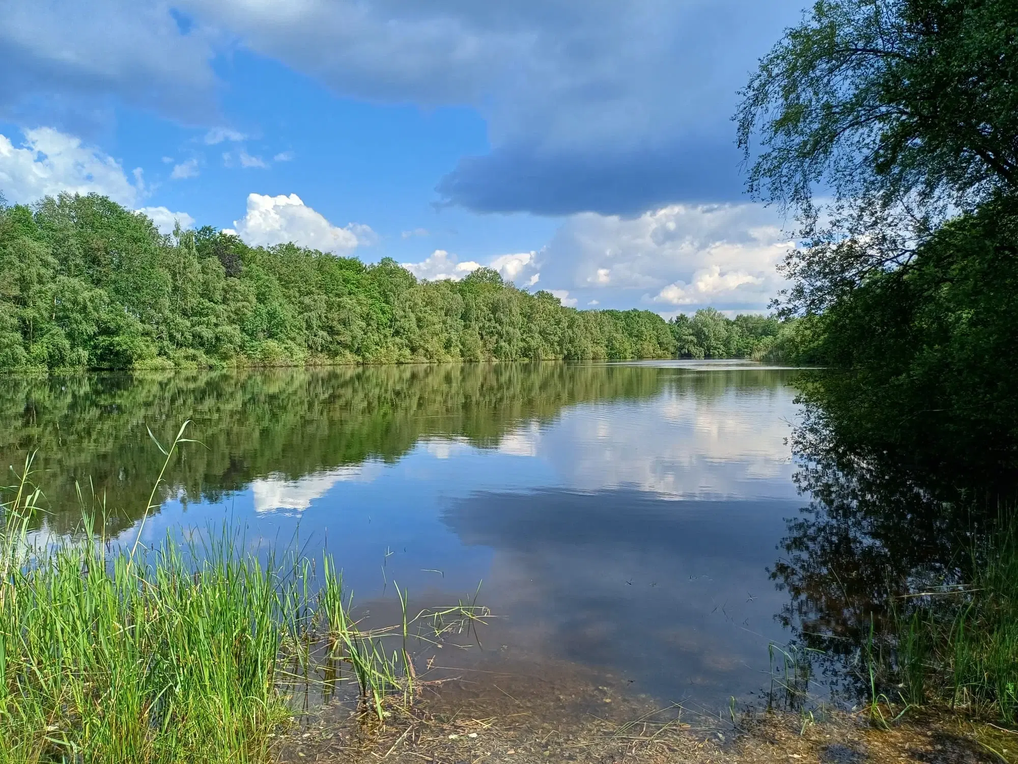 Vierkant perceel 100 m² Treuen - Duitsland