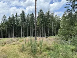 2 percelen van totaal 2.495 m² Neuensalz - Duitsland