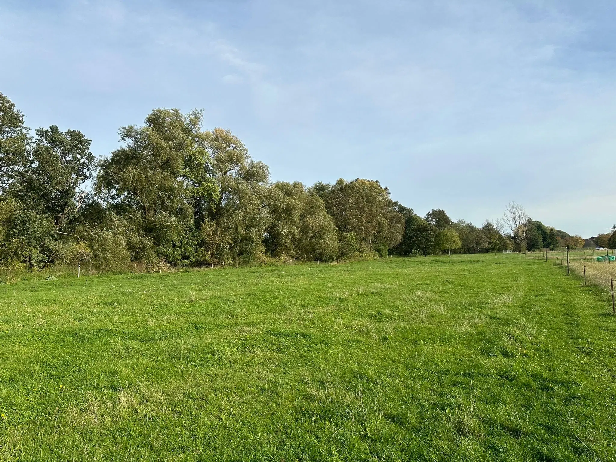 Ca. 1.6 hectare grasland nabij Leipzig - Nemt - Duitsland