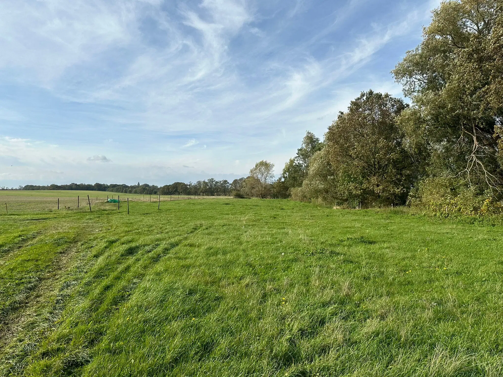 Ca. 1.6 hectare grasland nabij Leipzig - Nemt - Duitsland