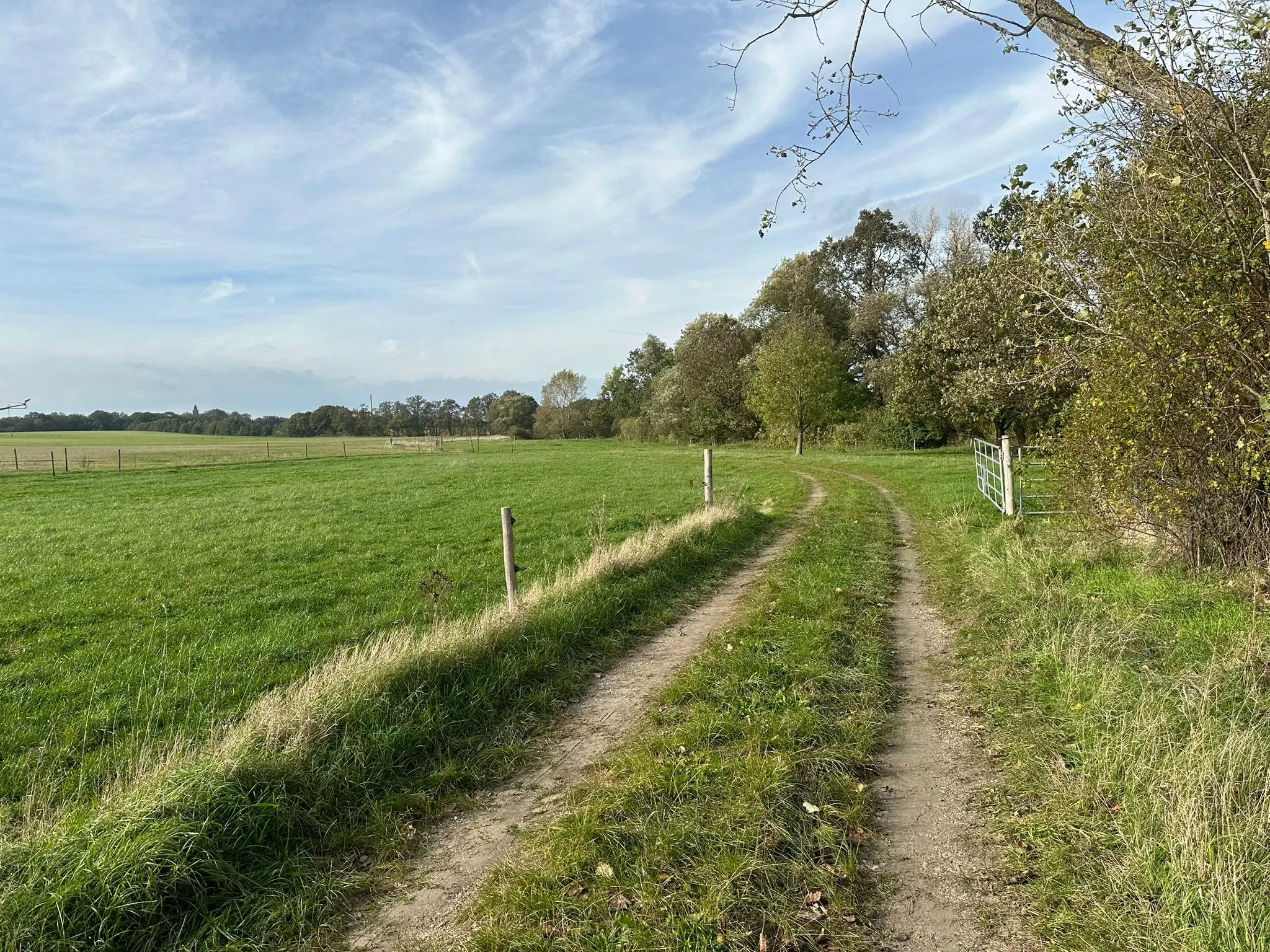 Ca. 1.6 hectare grasland nabij Leipzig - Nemt - Duitsland