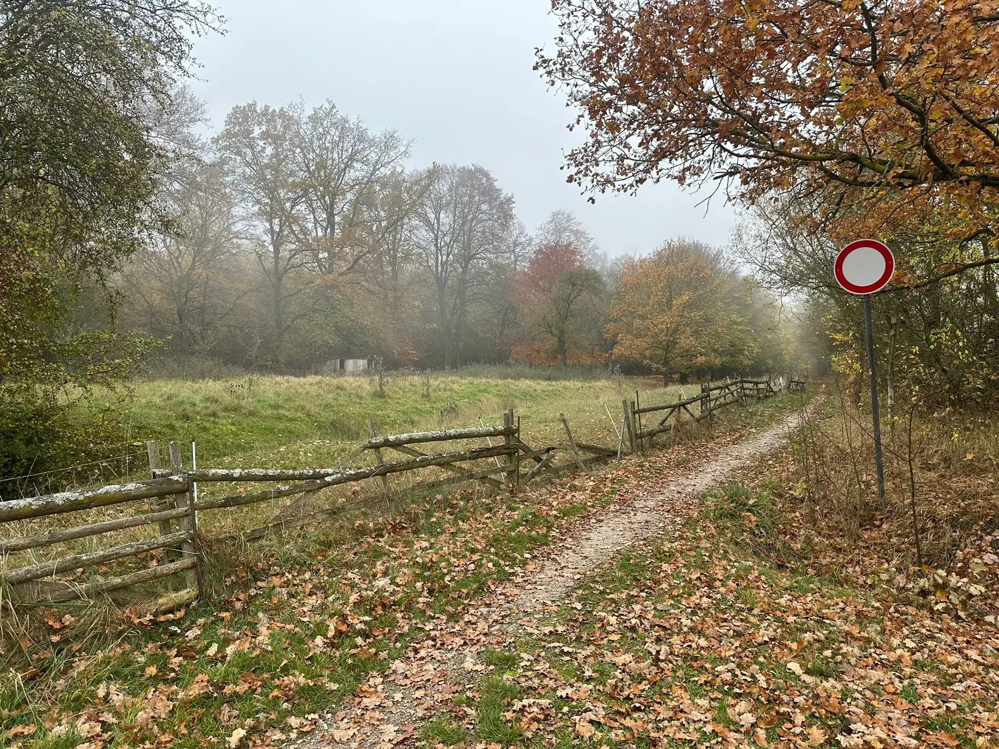 Perceel bosgrond 736 m² - Wolfsberhingen, Thüringerwald - Duitsland
