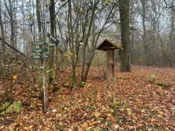 Perceel bosgrond 736 m² - Wolfsberhingen, Thüringerwald - Duitsland
