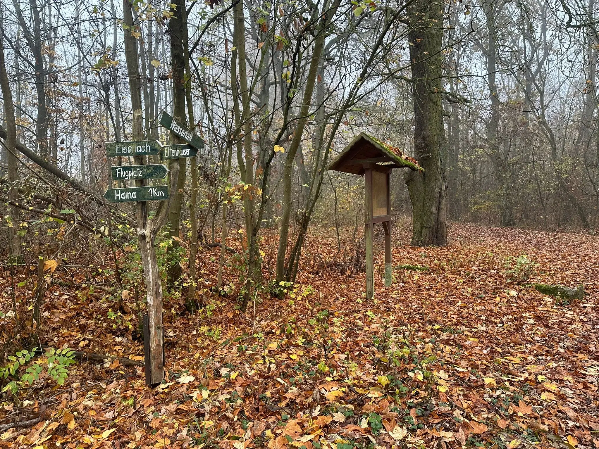 Perceel bosgrond 736 m² - Wolfsberhingen, Thüringerwald - Duitsland