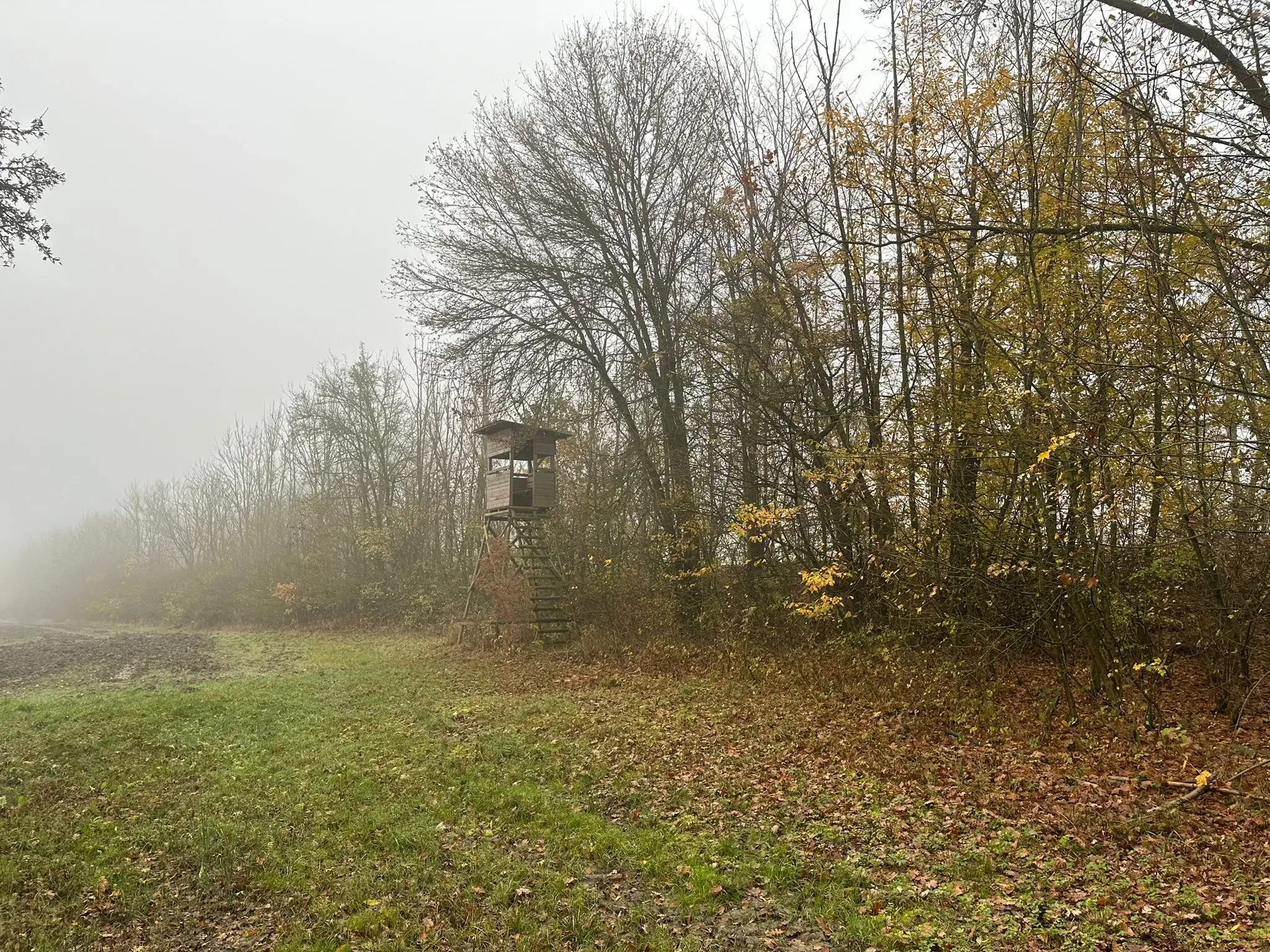 Perceel bosgrond 736 m² - Wolfsberhingen, Thüringerwald - Duitsland
