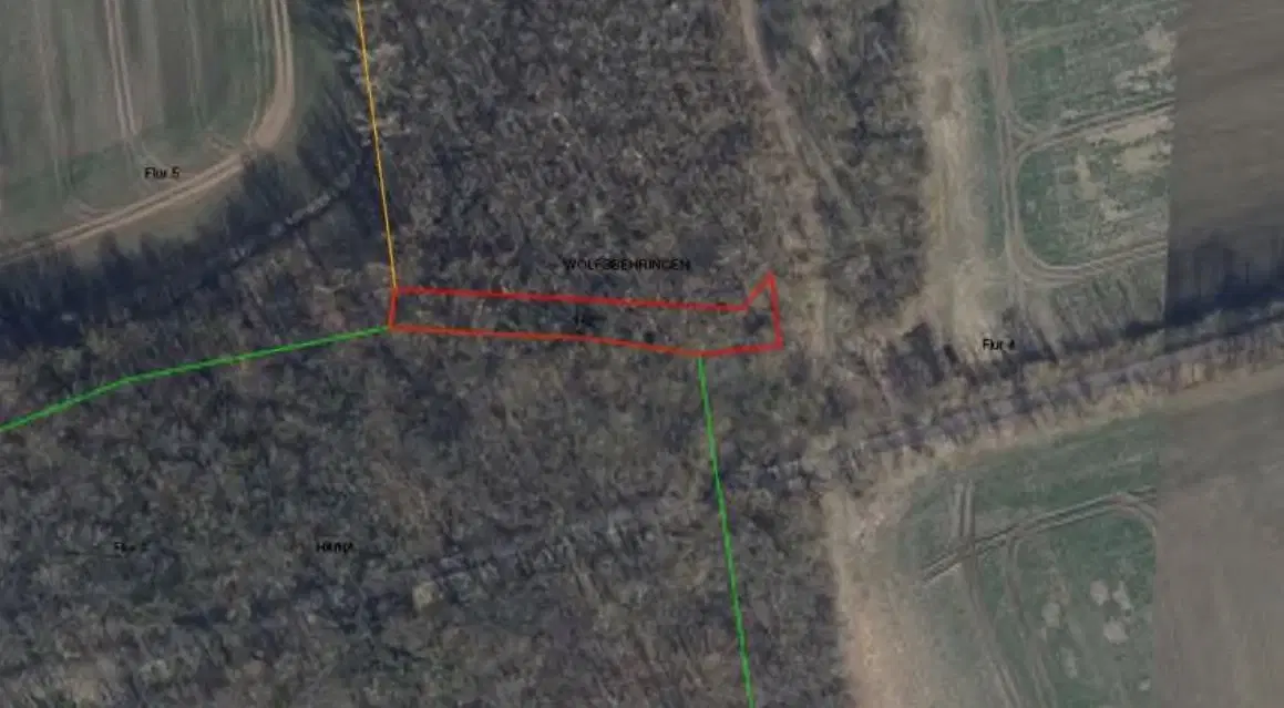 Perceel bosgrond 736 m² - Wolfsberhingen, Thüringerwald - Duitsland