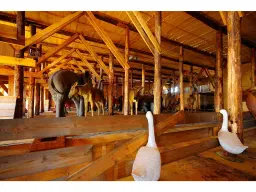 Museum schip Ark van Noach
